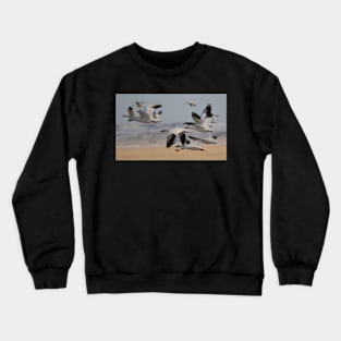 Migration of the Snows Crewneck Sweatshirt